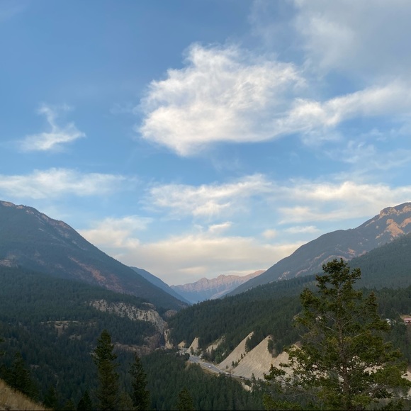 Meet your Posher, Caterina - Picture 1 of 1